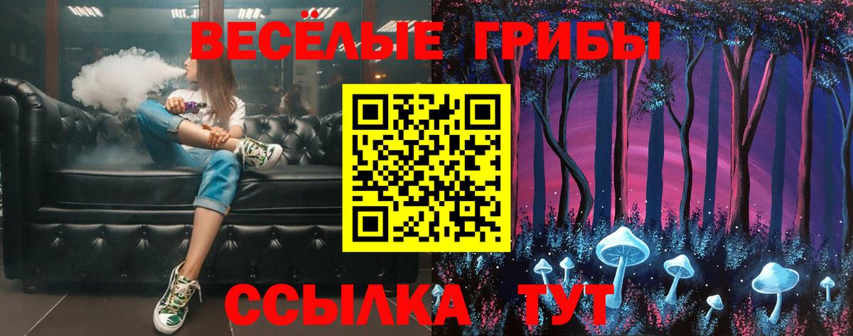 Донской  Псилоцибиновые грибы Cubensis  Вход с VPN 