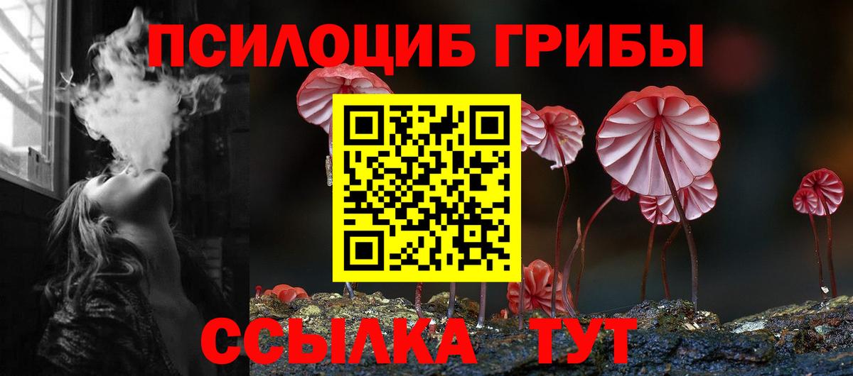 Псилоцибиновые грибы Magic Shrooms Донской